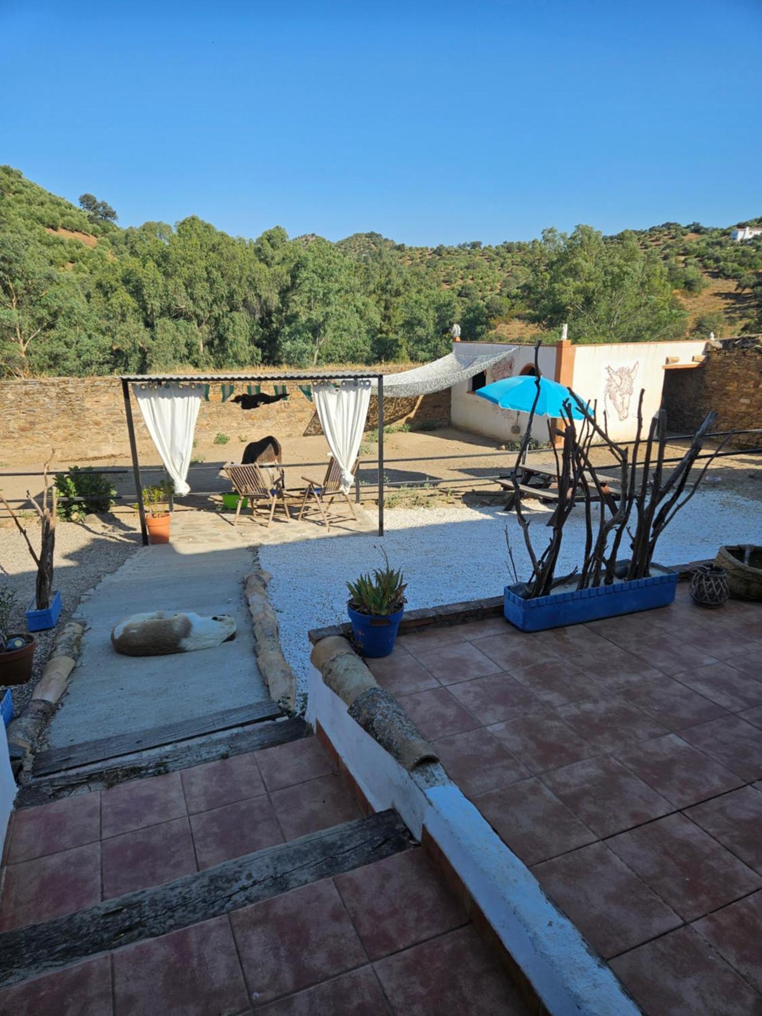 Experience Alpacas In Andalucia Apartamento Córdova Exterior foto