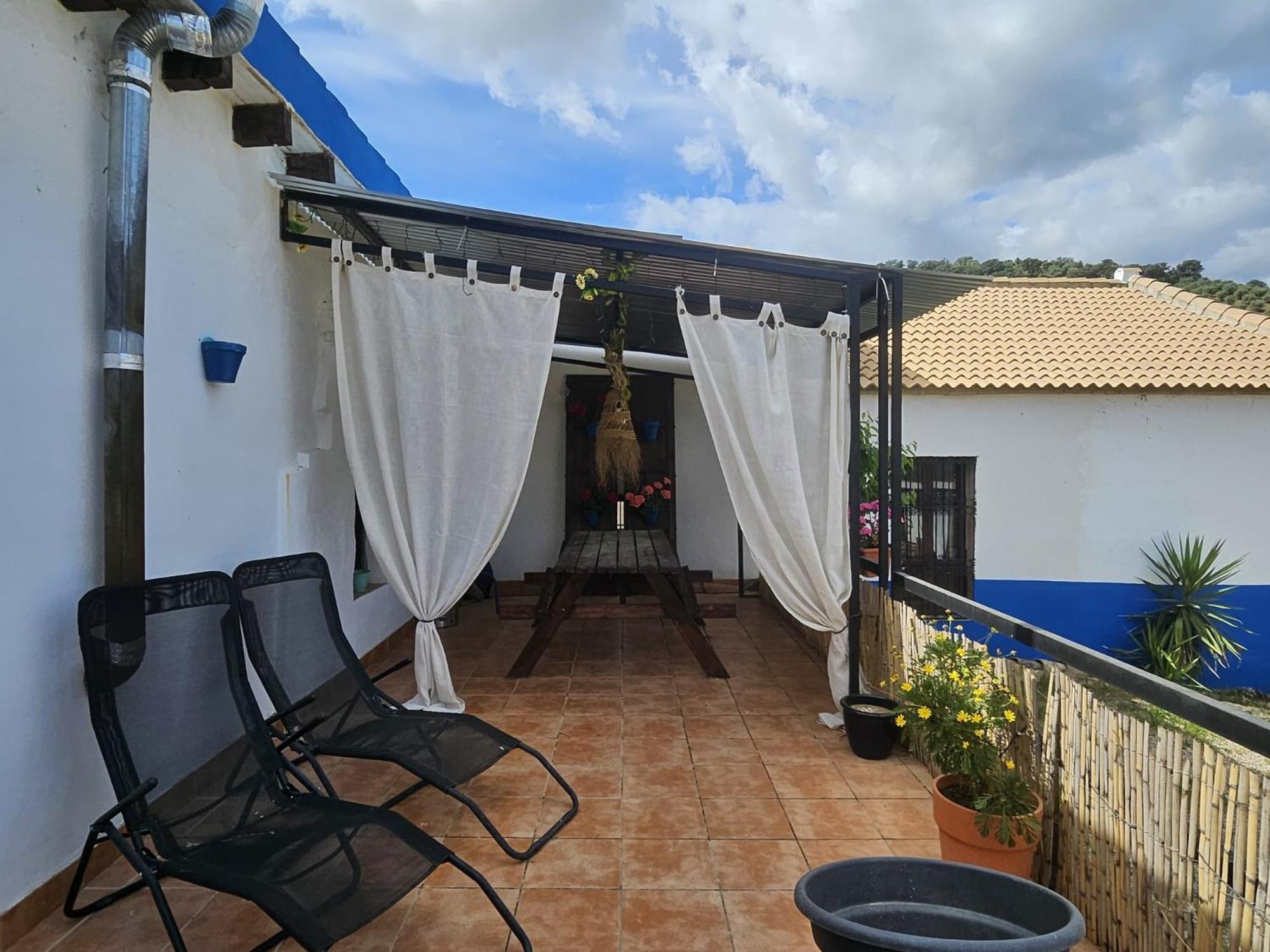 Experience Alpacas In Andalucia Apartamento Córdova Exterior foto