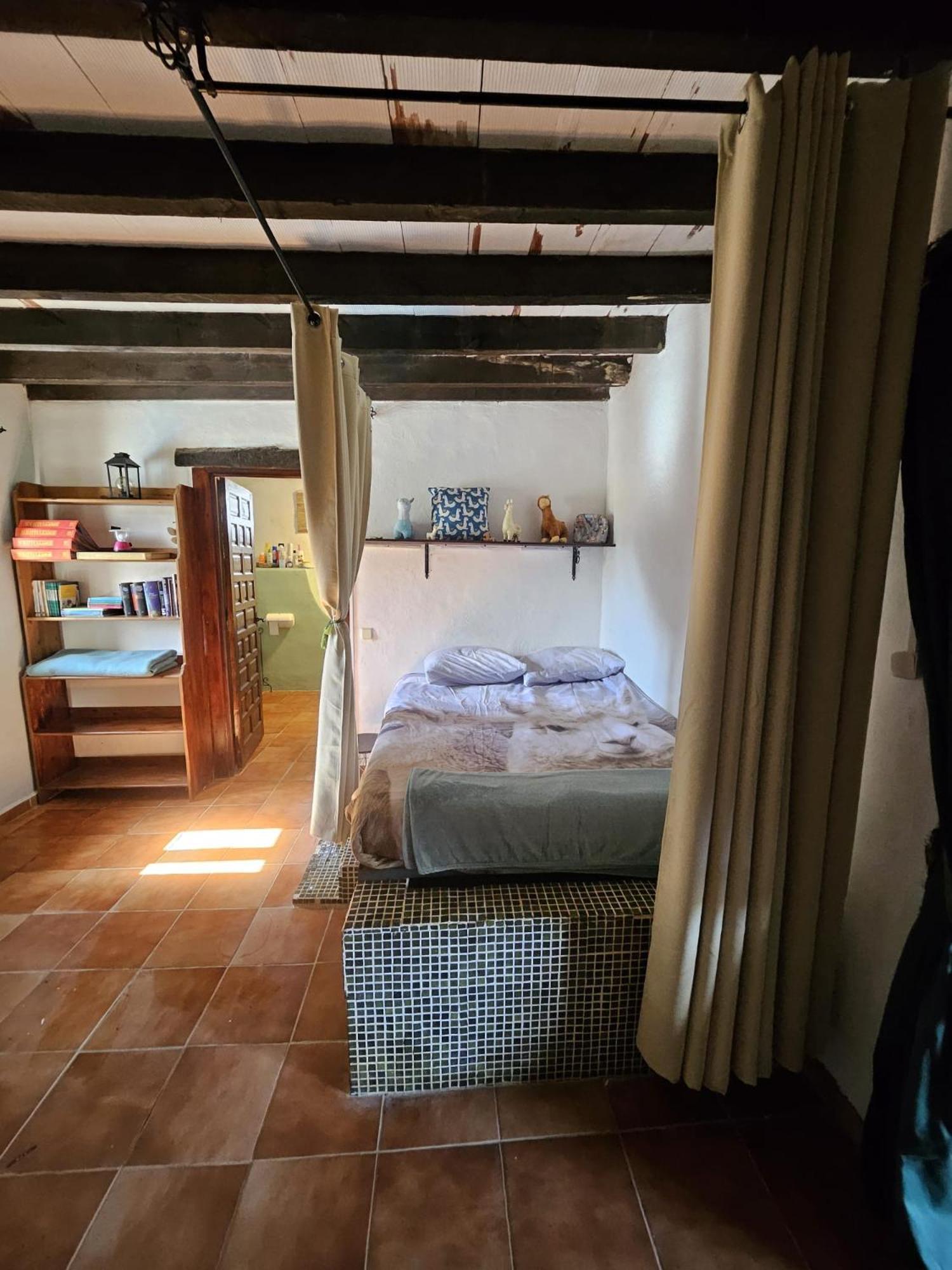 Experience Alpacas In Andalucia Apartamento Córdova Quarto foto